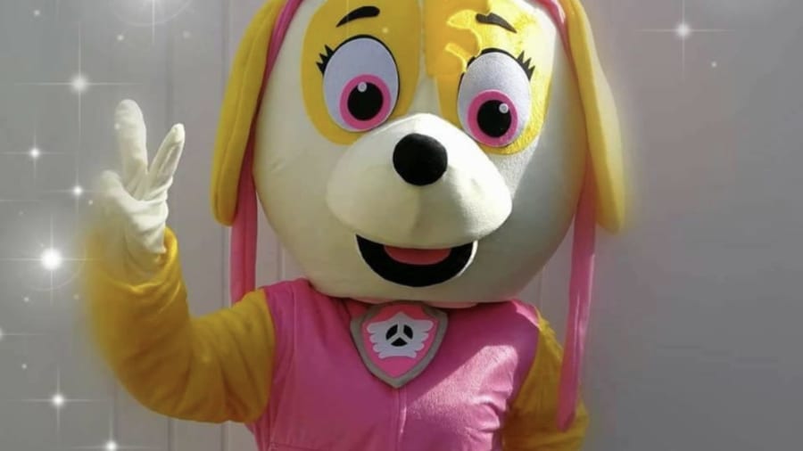 Combien coûte un anniversaire Pat Patrouille ?