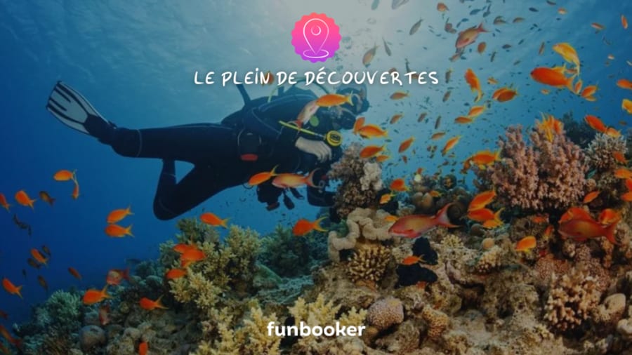 14 activités à faire en été à Fréjus ☀️