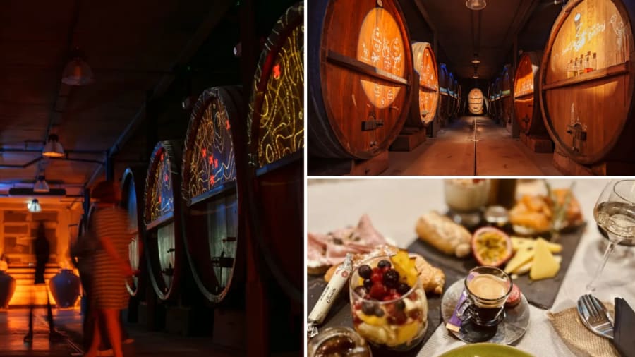 visite cave à vin