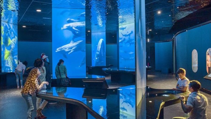Que faire en Normandie quand il pleut ? Top 7 des meilleures idées d'activités en intérieur