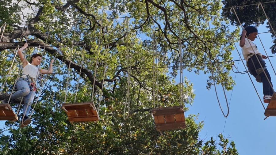 Grimper aux arbres en famille avec un parc accrobranche marseillais