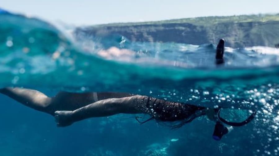 Snorkeling sur la Côte Bleue près de Marseille