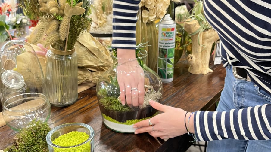 Atelier terrarium à Pontoise (95)