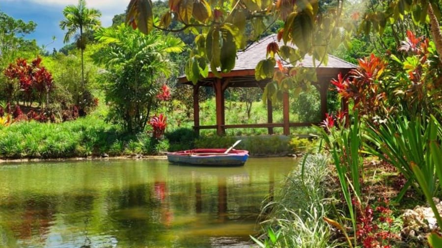 Billet pour le Jardin Botanique de Valombreuse en Guadeloupe