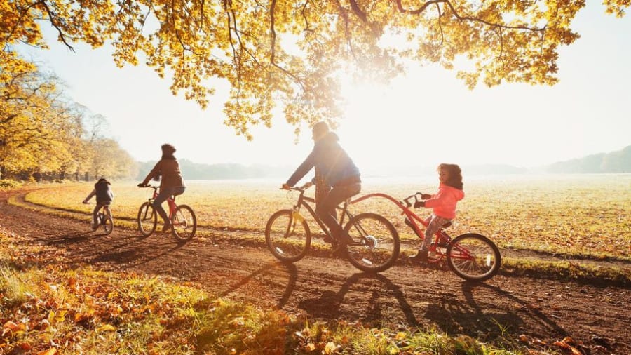 Une location de VTT électrique à l'Etang de la vallée