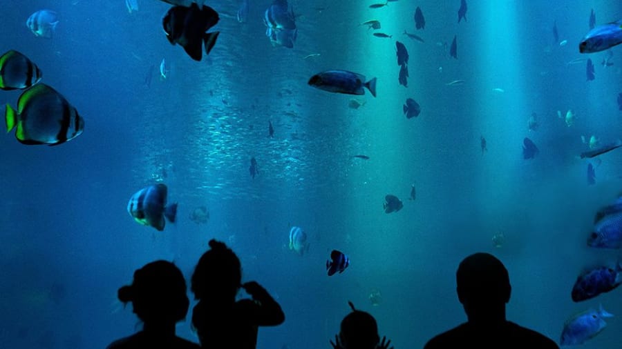 Un billet pour le musée océanographique de Monaco
