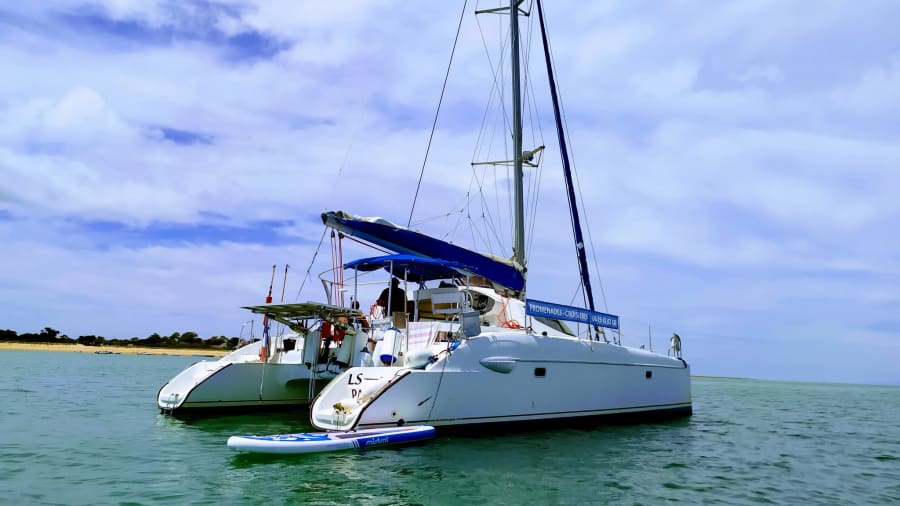 Croisière découverte en Catamaran à La Faute-sur-Mer