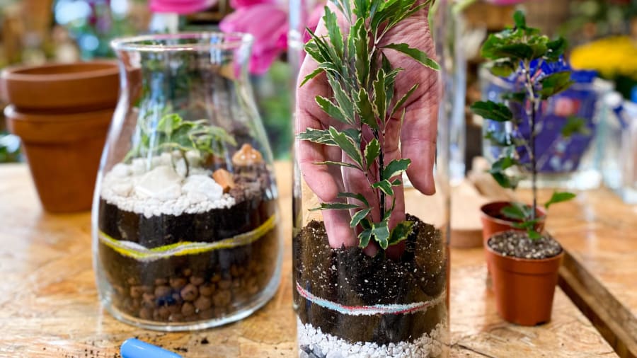 Un atelier terrarium
