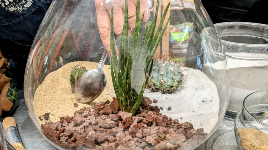 Un atelier terrarium