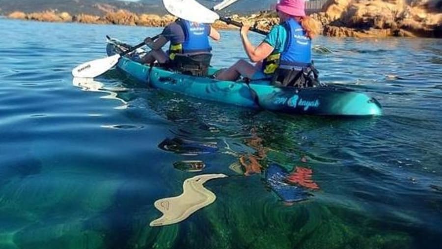 Balade en kayak à Abbartello en Corse