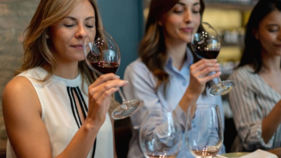 Cours d'œnologie "Cépages et terroirs" à Nice-Cannes