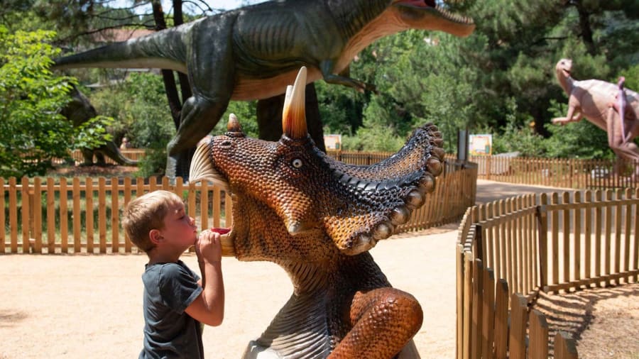 Billet pour le Dinopedia Parc dans les Cévennes