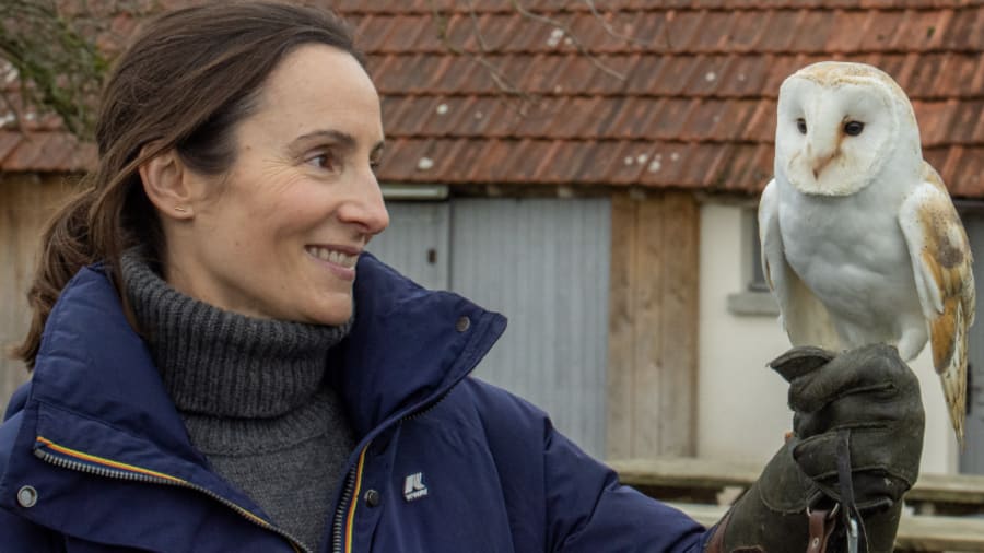 Une rencontre avec les oiseaux stars de cinéma proche d'Orléans