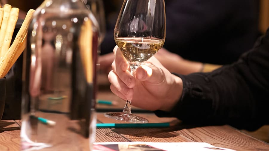 Cours œnologie : clés de la dégustation niveau 1