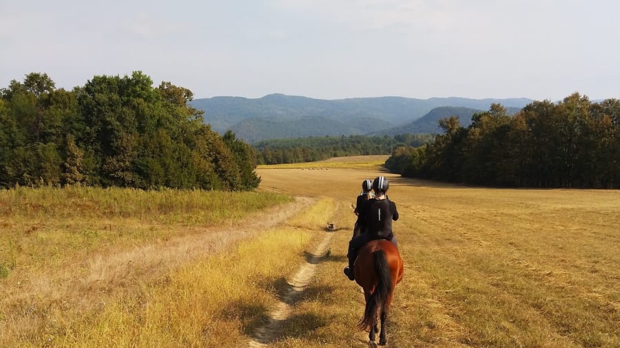 Une balade à cheval campagne et plage près de Deauville