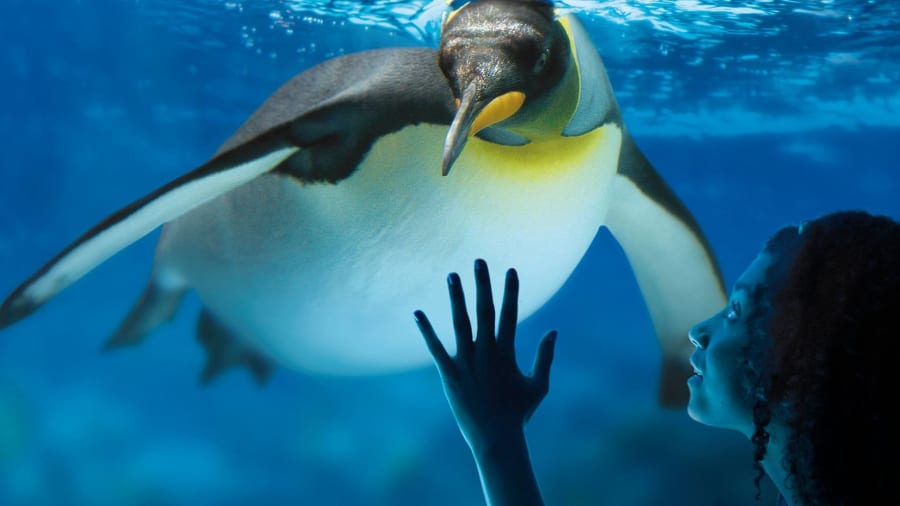 Billet pour l'Aquarium Sea Life Val d'Europe (77)