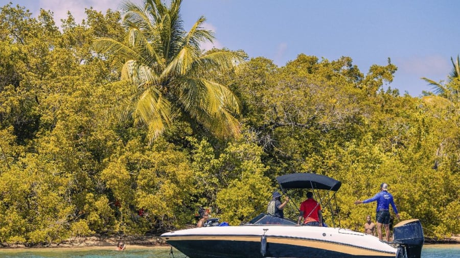 Excursion en bateau à Morne-à-l'Eau
