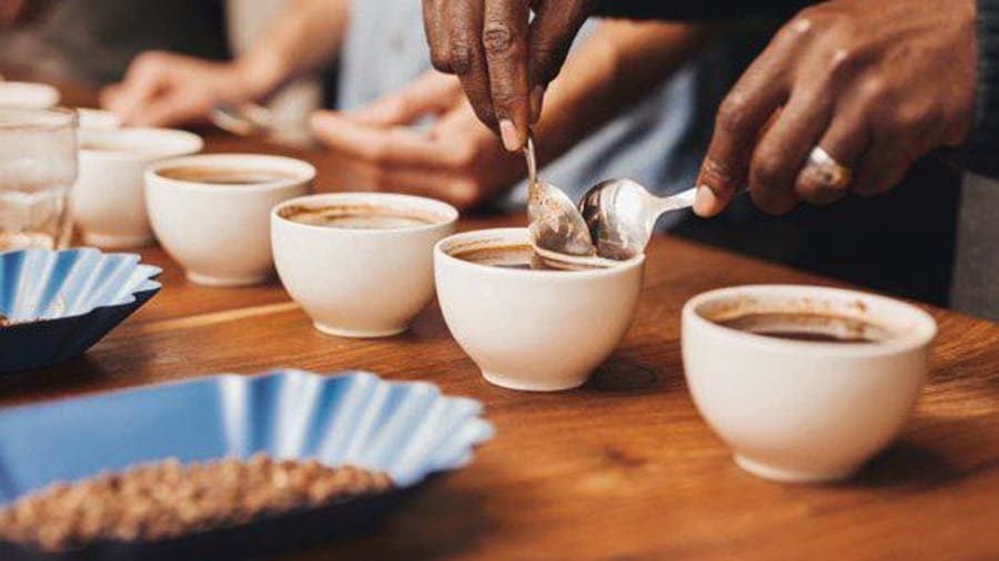 Un atelier d’oenologie des cafés d'exception à Paris 6ème