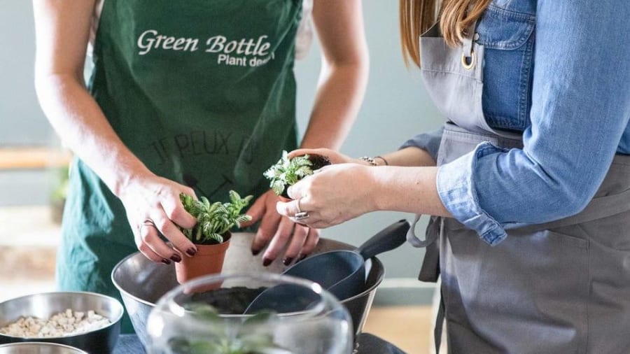 Atelier terrarium à Wambrechies