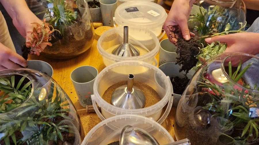 Atelier Terrarium taille S à Strasbourg