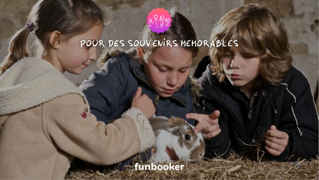 experience-avec-des-animaux