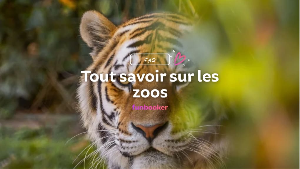 faq-quel-est-le-plus-grand-zoo-