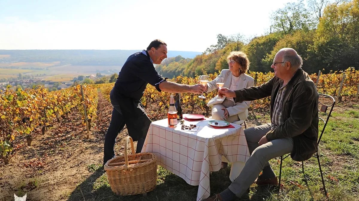 3 personnes trinquant devant un champs de vignes