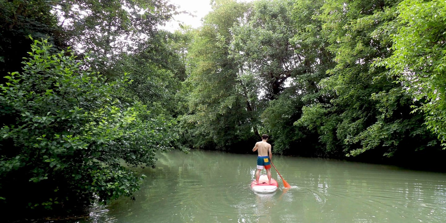 d'ou vient le paddle