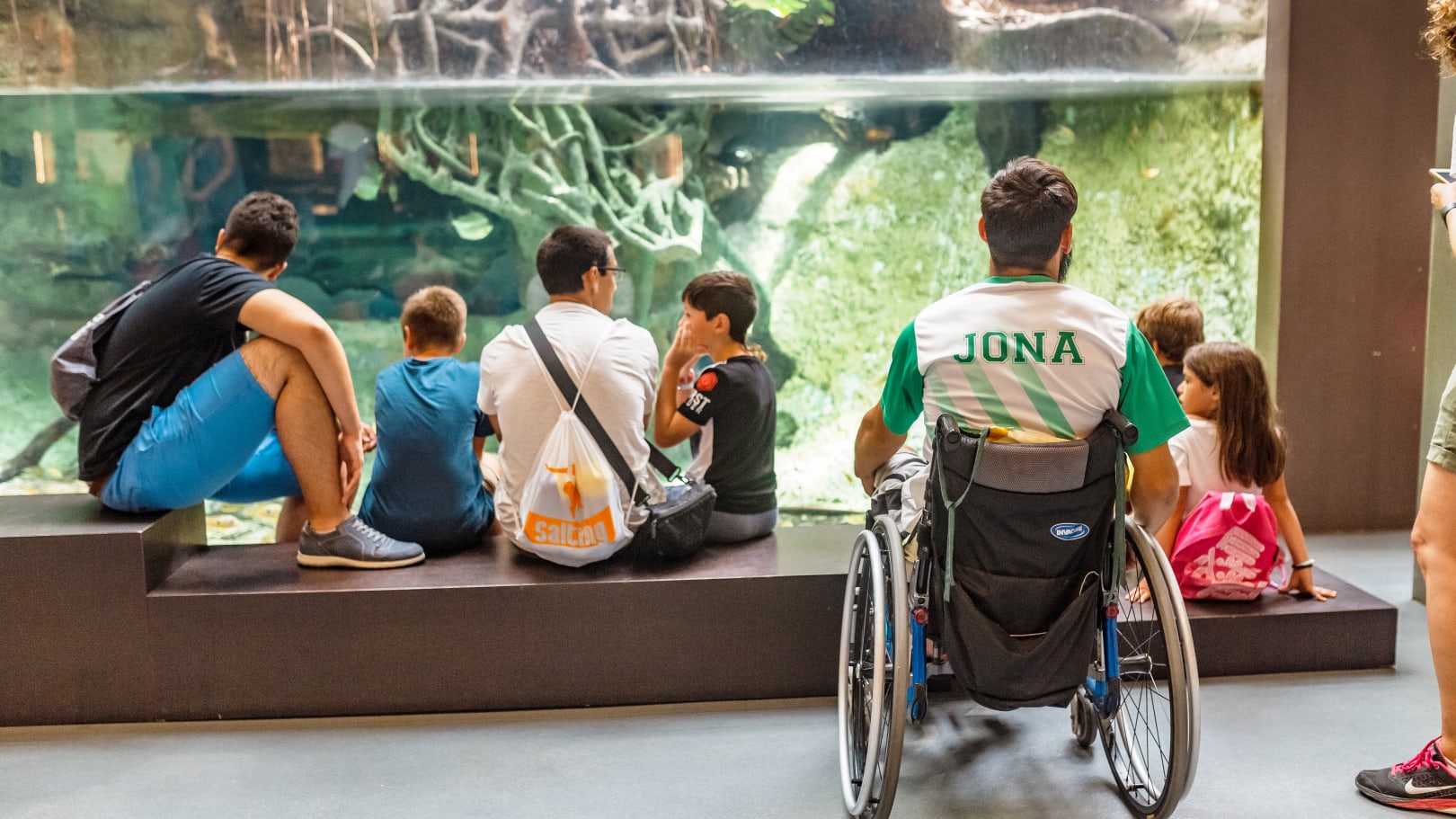 aquarium pmr