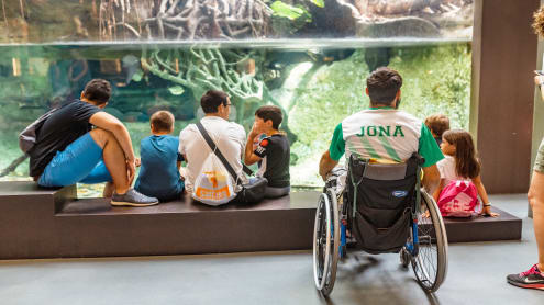 aquarium pmr