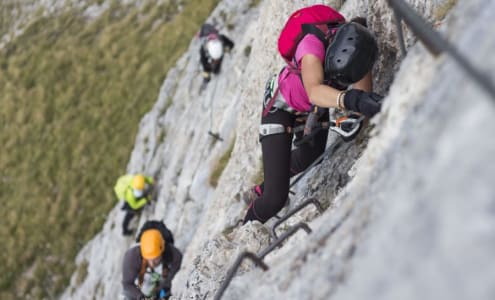 Différence via ferrata et cordata
