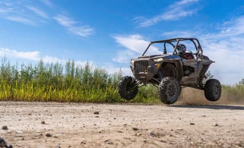 Différence quad/buggy