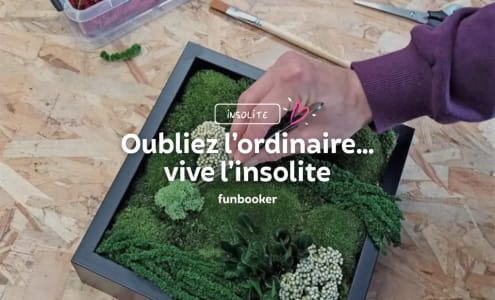 activite-insolite-dijon