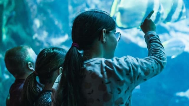 À partir de quel âge un enfant peut-il visiter un aquarium seul ?