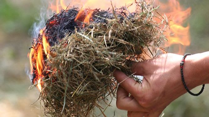 départ de feu avec brindilles