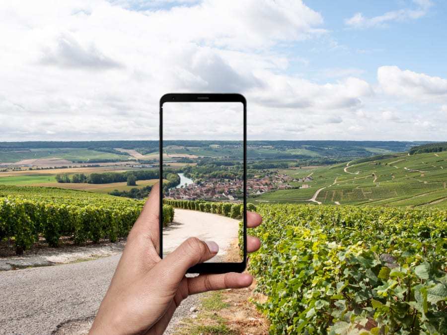 Smartphone qui prend en photo des vignes