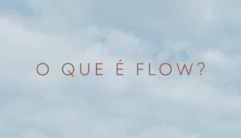 O que é Flow?