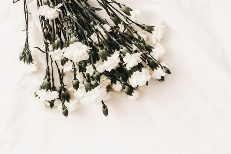 A bouquet of white flowers