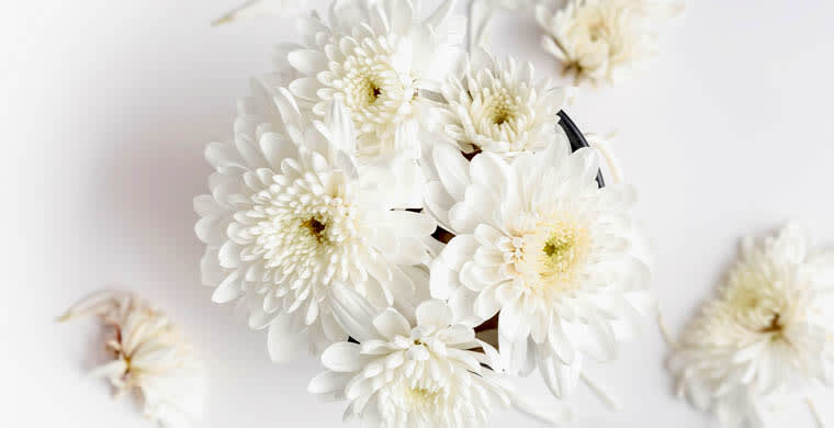 Ways to Celebrate the Life of a Loved One - Funeralocity