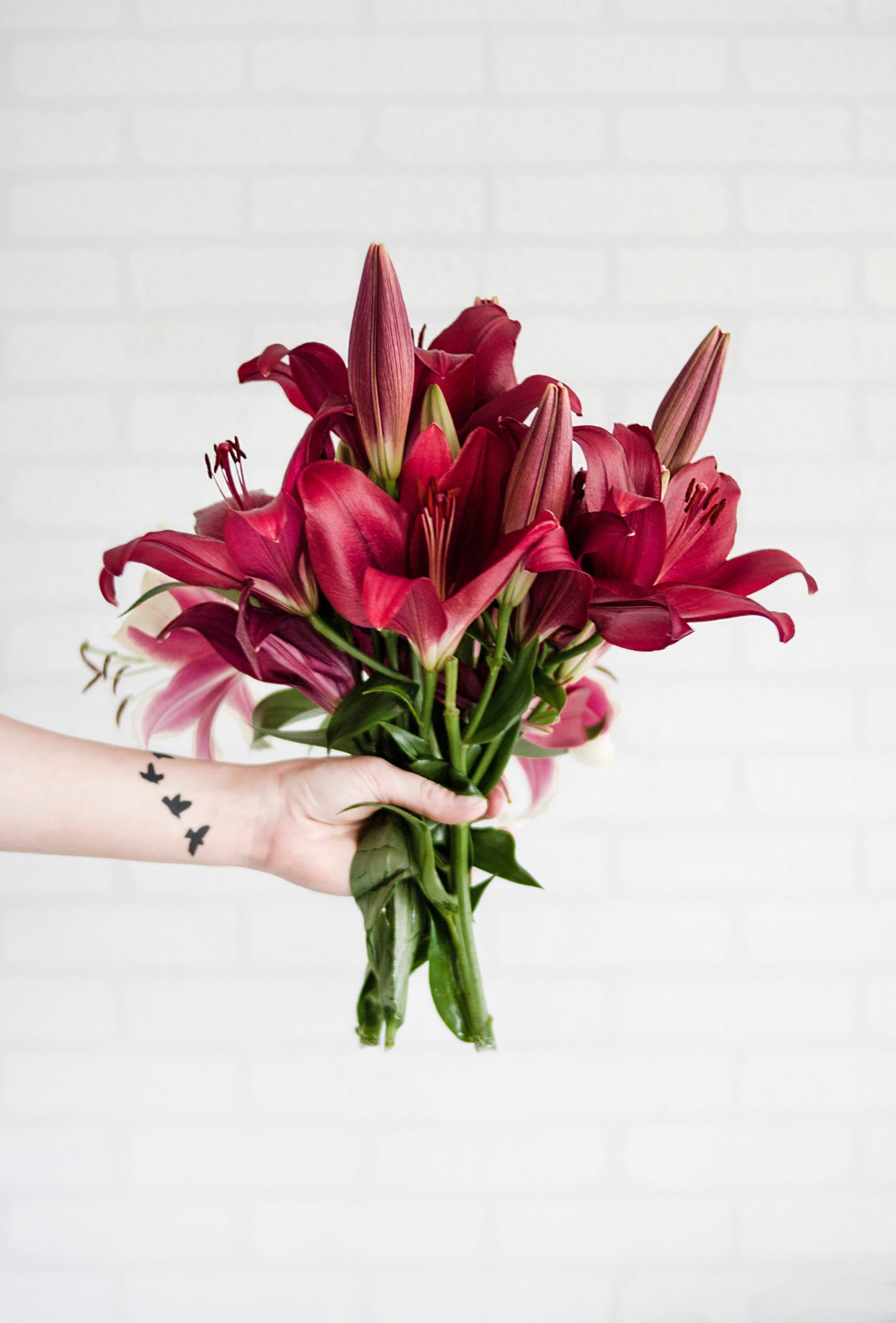 Person holding maroon stargazer flowers