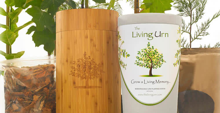 Biodegradable Tree Urn