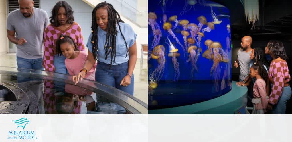 Image presents a joyful family experience at the Aquarium of the Pacific. On the left, a family of four observes marine life in a touch tank, focused together on the aquatic discovery. On the right, the same family admires a tank of glowing jellyfish, captivated by the underwater dance. The Aquarium's logo is at the bottom left.