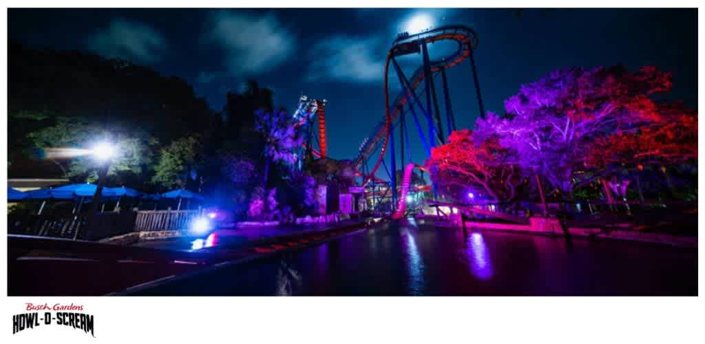 Nighttime view of a brightly lit roller coaster with colorful lights on trees and water reflections.