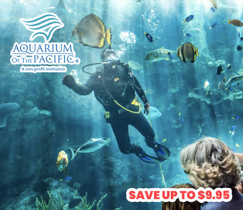 Discount Tickets for Top Attractions, Theme Parks, and Movies