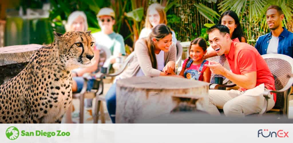San Diego Zoo Discounted Tickets FunEx