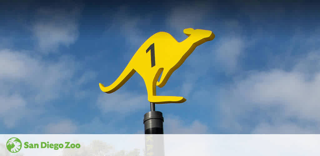 Image shows a bright yellow silhouette of a kangaroo atop a pole against a blue sky with fluffy clouds. The sign appears to be a marker or symbol, possibly indicating direction or a point of interest at the San Diego Zoo, as indicated by the zoo's logo visible at the bottom.