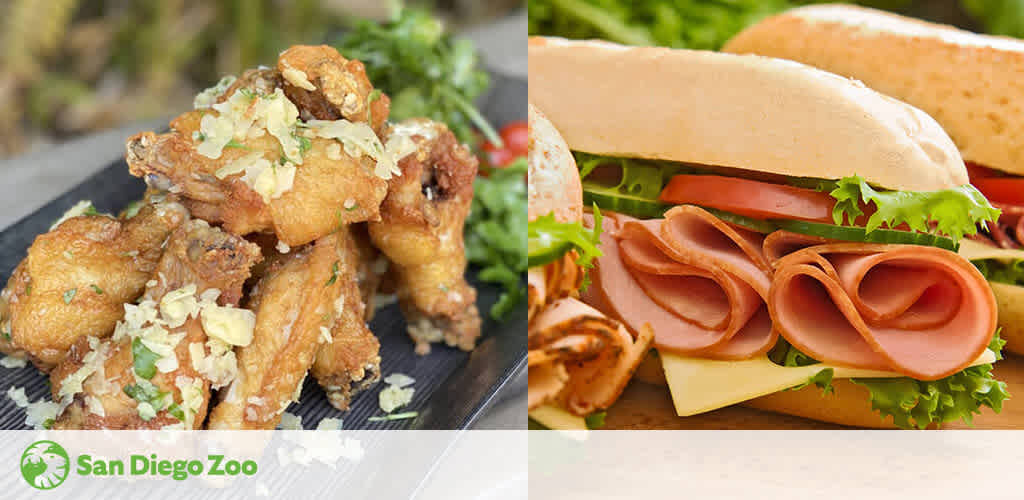 Split image: Left side shows crispy fried chicken wings garnished with shredded cheese, accompanied by a salad. The right side features a submarine sandwich with ham, cheese, lettuce, and tomato, alongside pretzels. San Diego Zoo logo at the bottom.