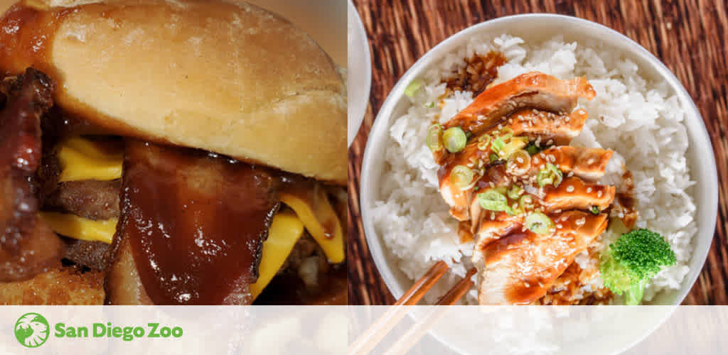 This image features two delectable dishes. On the left, there is a close-up of a burger with melted cheese and a glossy barbeque sauce. On the right is a bowl of white rice topped with grilled chicken, drizzled with a savory sauce, and sprinkled with green onions, accompanied by a piece of broccoli. The logo of San Diego Zoo is at the bottom left corner.