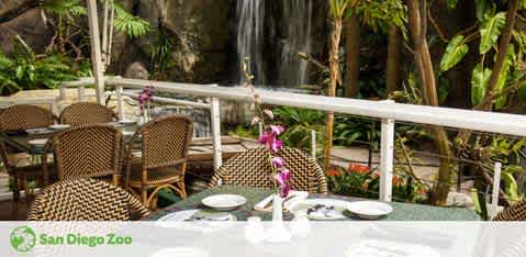 Outdoor dining area at San Diego Zoo with tables set for a meal. Chairs have brown and beige woven patterns. A waterfall and lush greenery in the background create a tranquil ambiance. The closest table features elegant white plates, a purple orchid centerpiece, and a view of the waterfall.