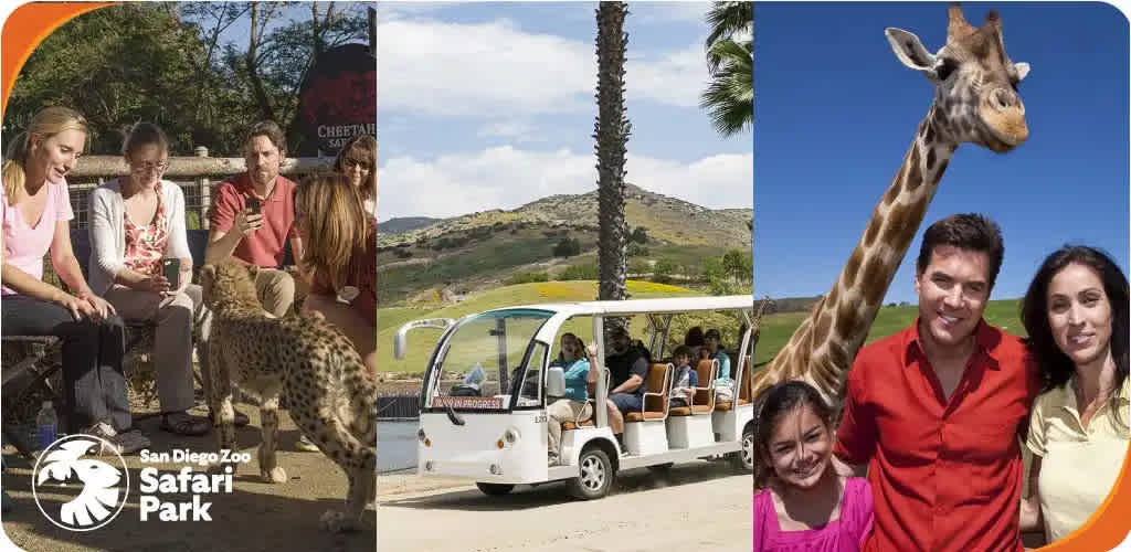 San Diego Safari Park discount tickets